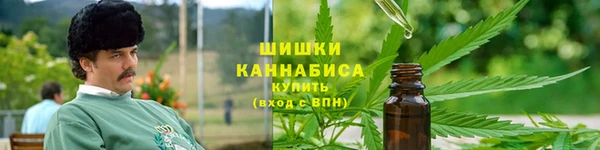 spice Мегион