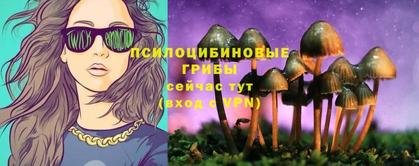spice Мегион