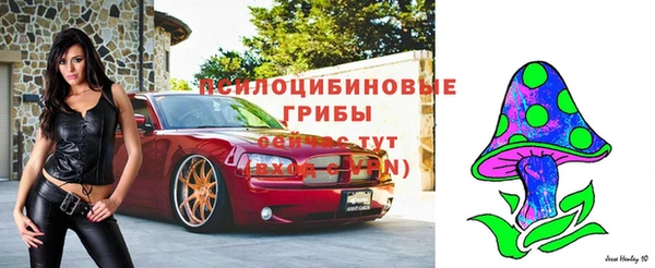 spice Мегион