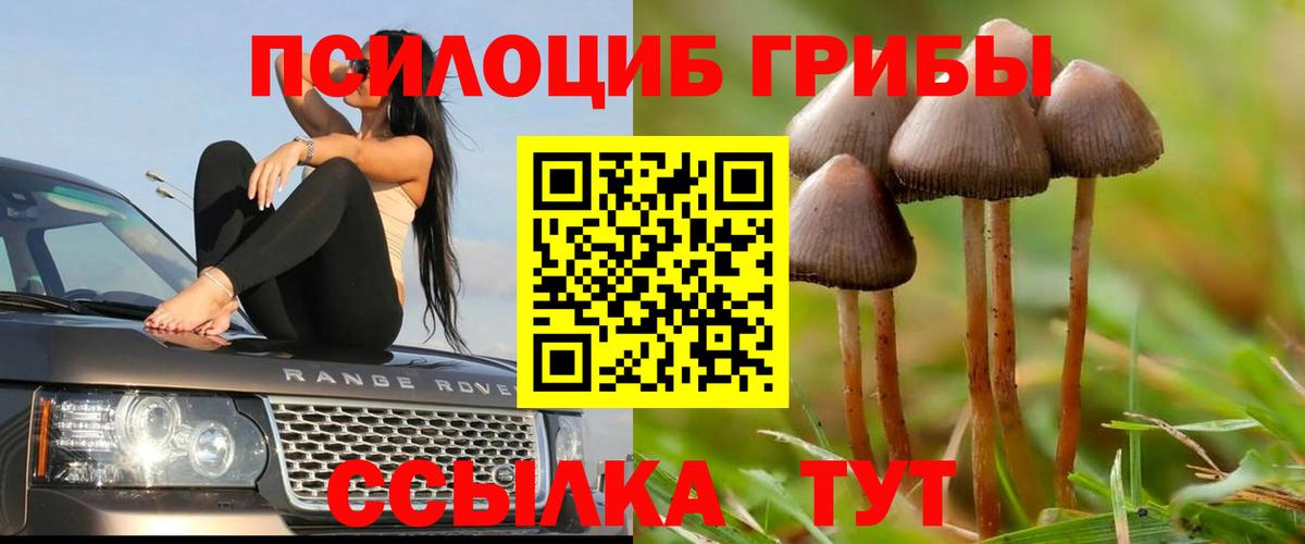 Полевской  Псилоцибиновые грибы MAGIC MUSHROOMS  закладка  Вход с VPN 